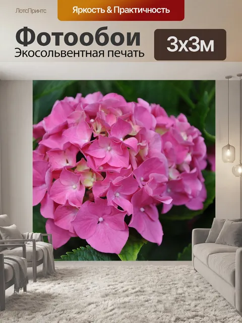 Фотообои Гортензия