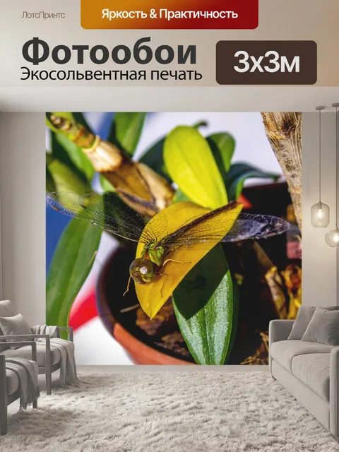 Фотообои Природа