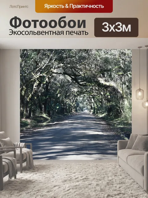 Фотообои Грязная дорога