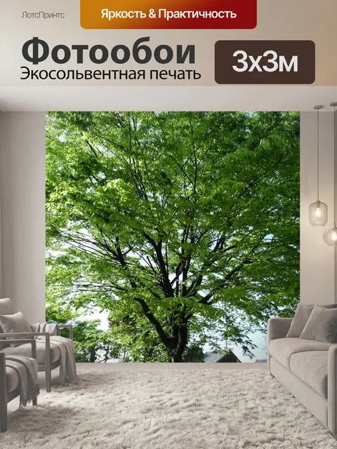 Фотообои свежий зеленый