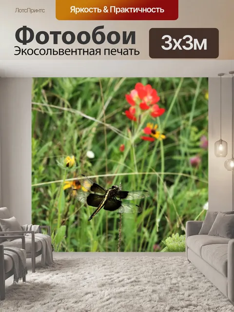 Фотообои Стрекоза и полевые цветы