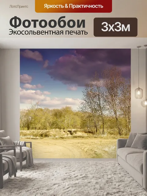 Фотообои Туча