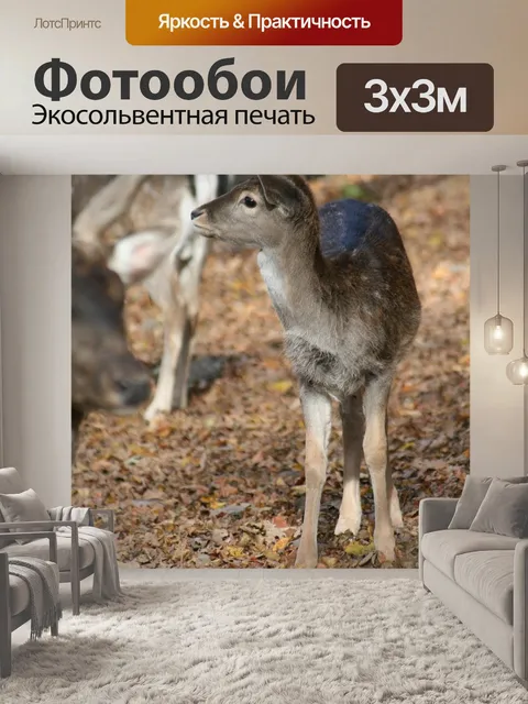 Фотообои Природа