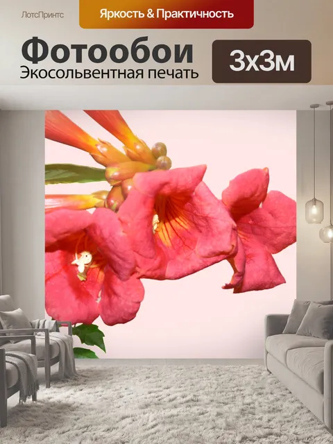 Фотообои Окрашены в красный тропический цветок
