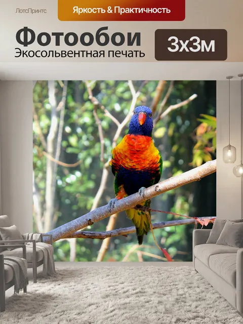 Фотообои Птица