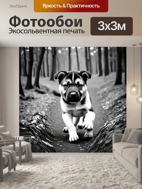 Фотообои изображение щенка американской акиты