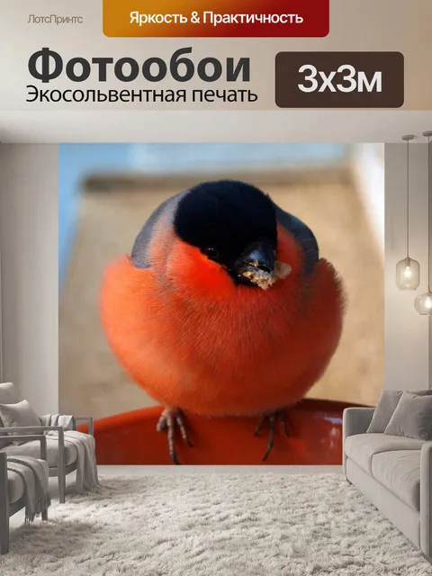 Фотообои Снегирь