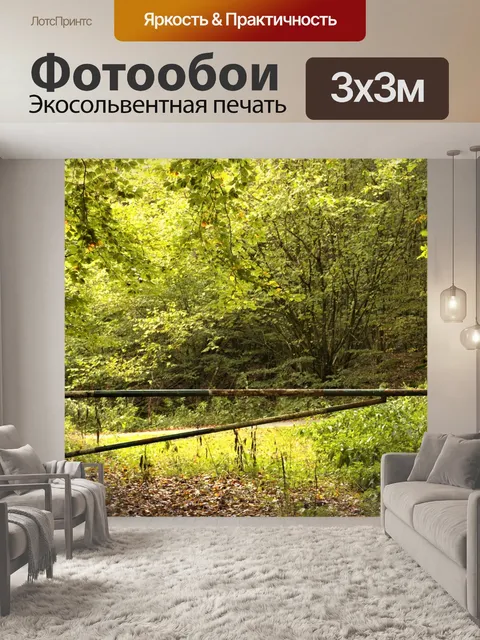 Фотообои Шкафы