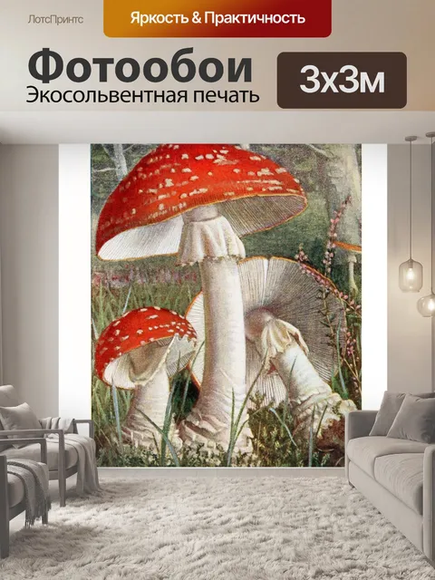 Фотообои Грибы век винтаж старый