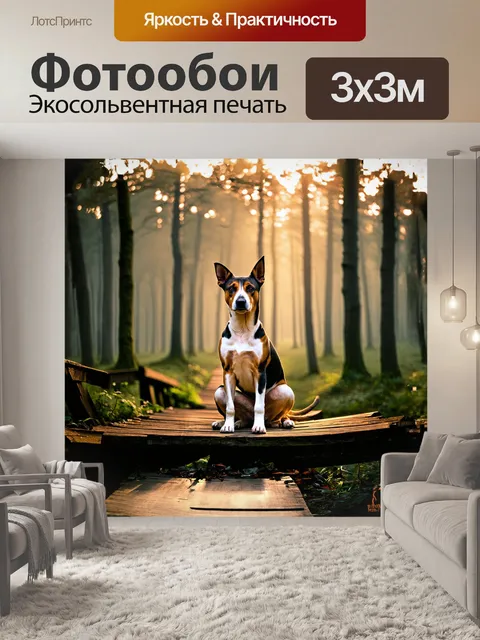 Фотообои басенджи сидит на старом деревянном мосту, окруженном туманным утренним лесом