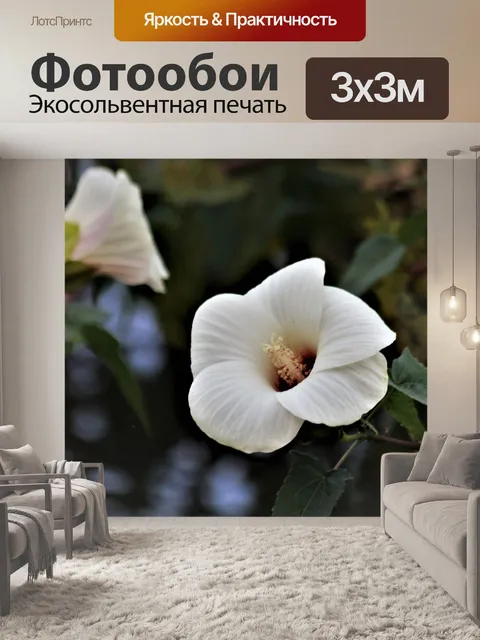 Фотообои Белое болото Роза мальвы Цветы