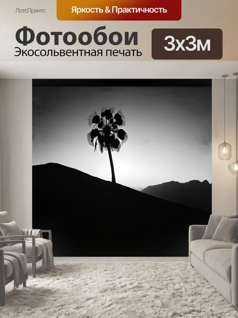 Фотообои минималистичное монохромное фотографическое изображение в технике высокого контраста: одинокий пальмовый…