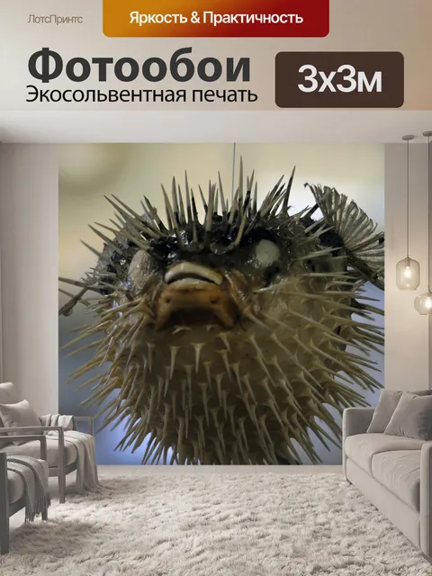 Фотообои надутыми Blowfish