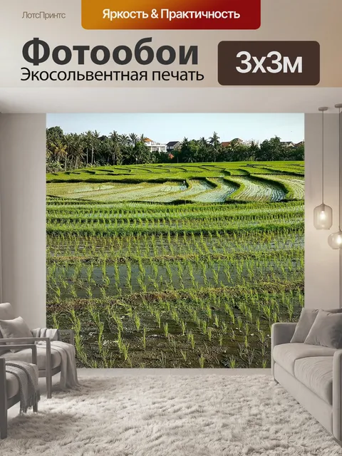 Фотообои Рисовые поля