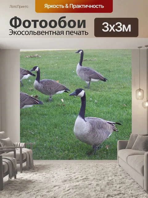 Фотообои Канада Джиз городского