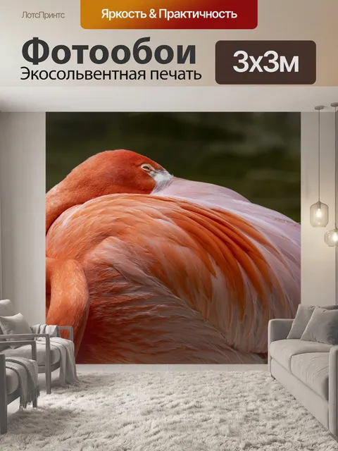 Фотообои спящий фламинго