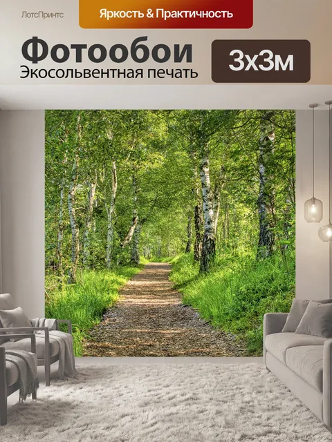 Фотообои Лесная тропа