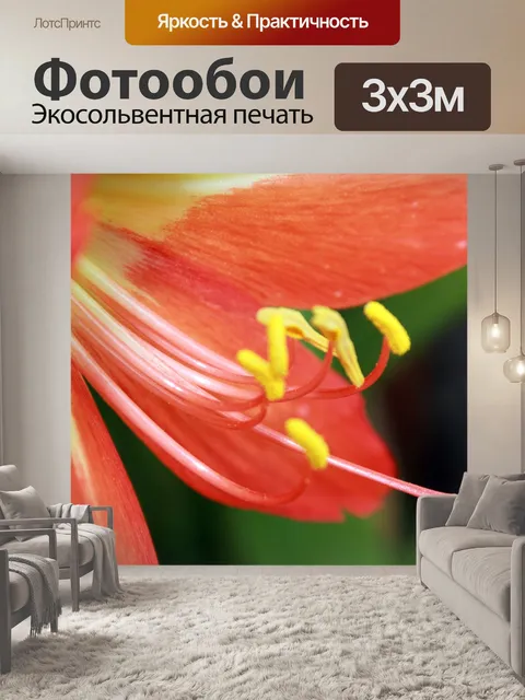 Фотообои Красный цветок 2