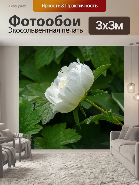 Фотообои Пион