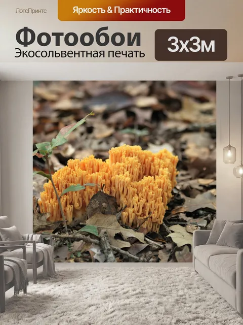 Фотообои Оранжевые коралловые грибы в листьях