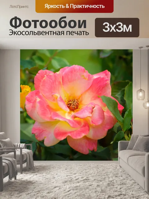 Фотообои Розовый и Желтая роза