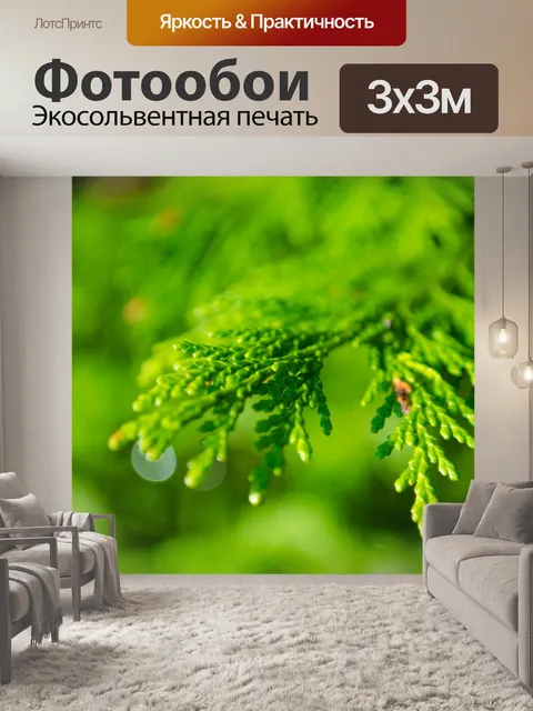 Фотообои Зеленые растения