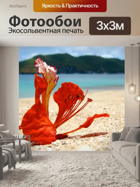 Фотообои Красный цветок на песке