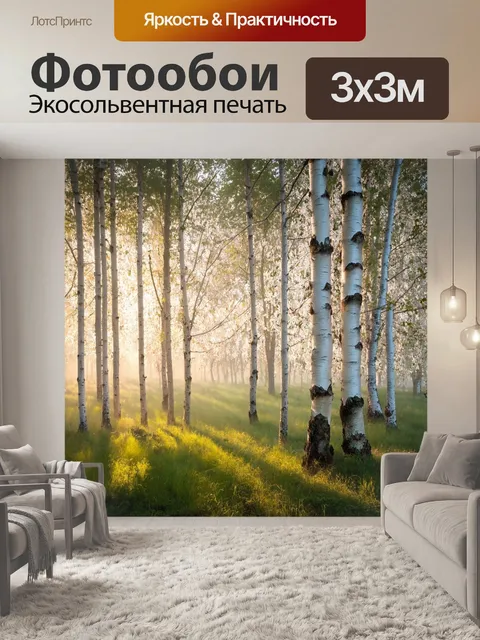 Фотообои утренний туман в березовой рощи
