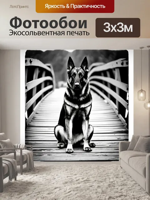 Фотообои винтажная черно-белая фотография немецкой овчарки