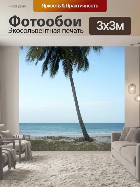 Фотообои Пальма