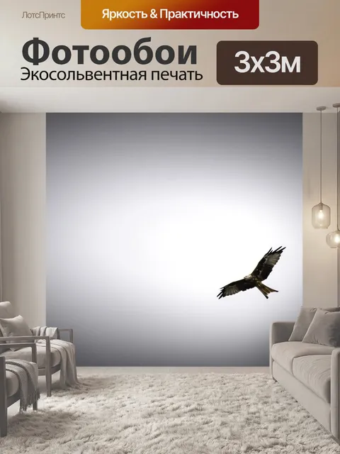 Фотообои Птица