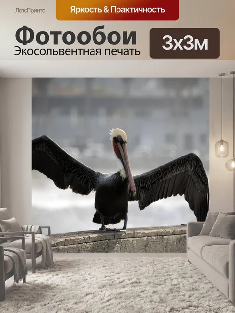 Фотообои Pelican Wing Spread