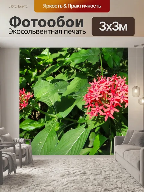 Фотообои Пентас