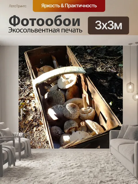 Фотообои Грибы в корзине