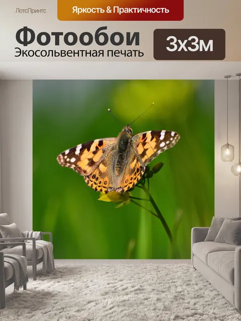 Фотообои Нарисованная леди бабочка