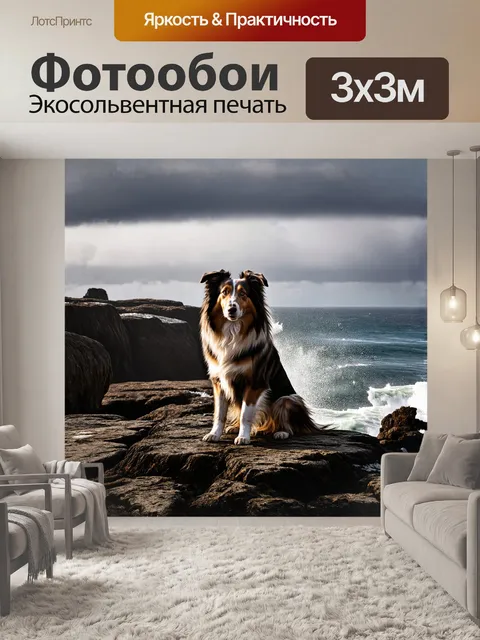 Фотообои собака породы колли, с густой шерстью, сидит на скалистом утесе, окруженном древними скалами и морскими…