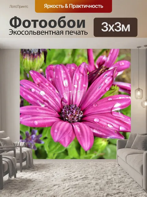 Фотообои Фиолетовый