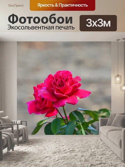 Фотообои Розы
