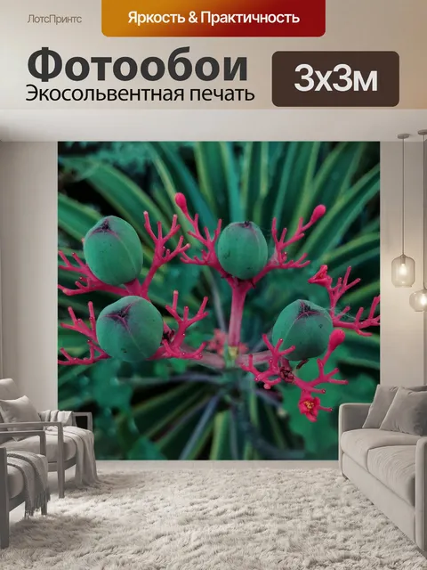 Фотообои Цветок