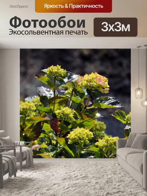 Фотообои Капли дождя