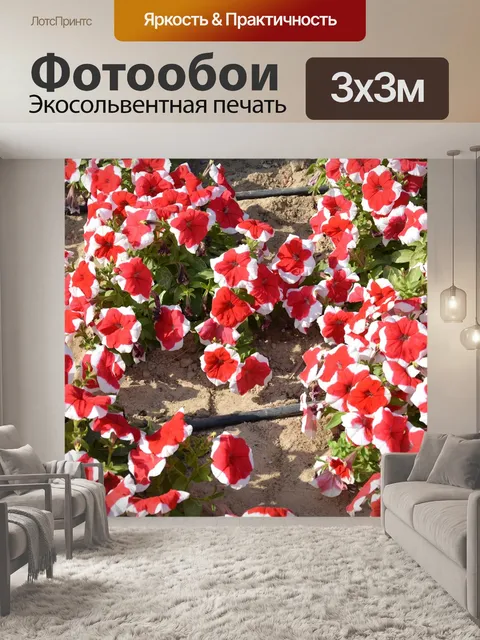 Фотообои Красные цветы