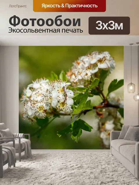Фотообои Ветвь