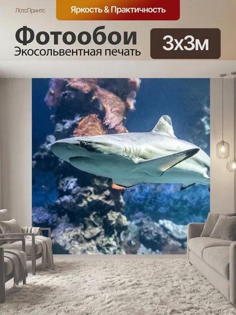 Фотообои Акула