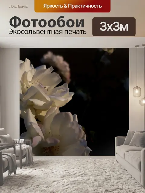 Фотообои Белый Розовый Темный фон