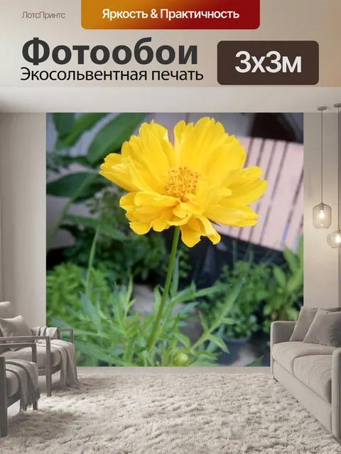 Фотообои Цветок