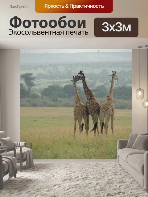 Фотообои Жирафы