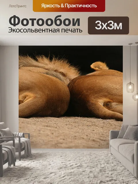 Фотообои Лев