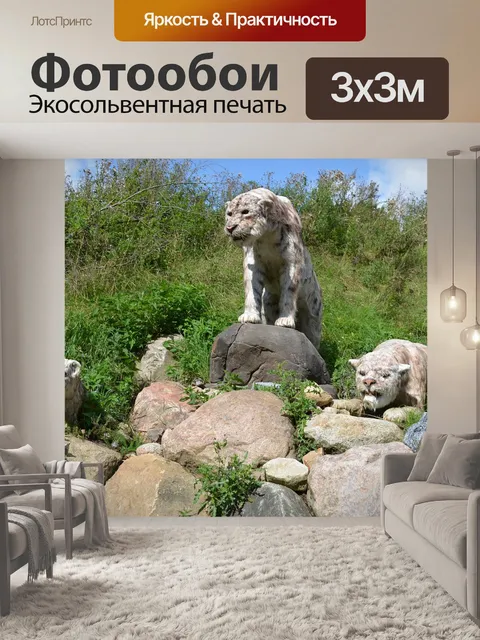 Фотообои Саблезубый тигр