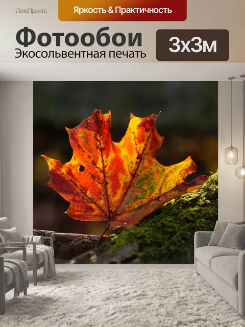 Фотообои Осень листва листва кленовый лист