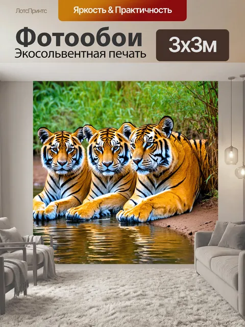 Фотообои семья тигров, отдыхающая на берегу реки, с отражением их яркой шкуры в воде